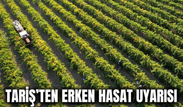 Tariş’ten üzüm üreticilerine hasat uyarısı: 10-15 günlük gecikme bekleniyor