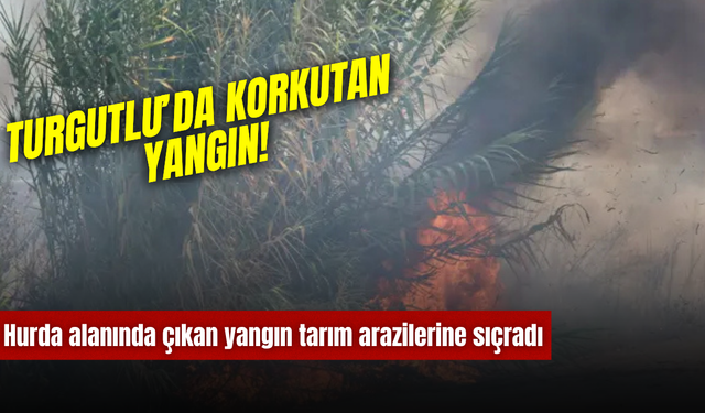 Turgutlu’da korkutan yangın! Alevler tarım arazilerine sıçradı