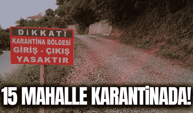 Mavi dil hastalığı alarmı: 15 mahalle karantinada!
