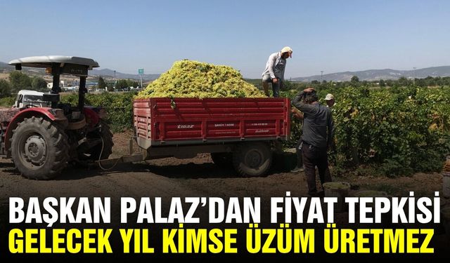 Başkan Palaz'dan şaraplık üzüm fiyatına tepki!