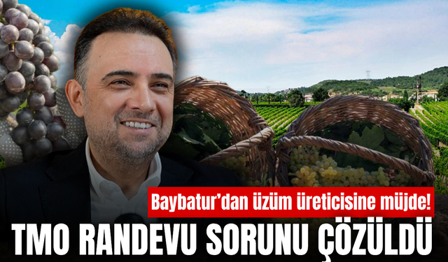 Baybatur duyurdu: Üzüm üreticisinin TMO randevu sorunu çözüldü!