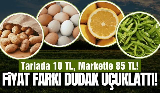 Bu fiyat farkı pes dedirtti: Tarladan sofraya fiyat uçurumu!