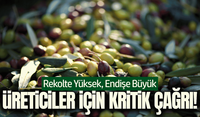 Kırkağaç Ziraat Odası'ndan zeytin üreticisi için kritik çağrı!