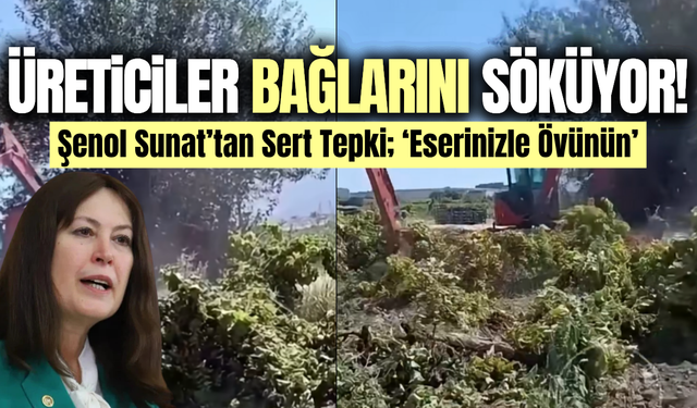 Manisa'da üreticiler bağlarını sökmeye başladılar!