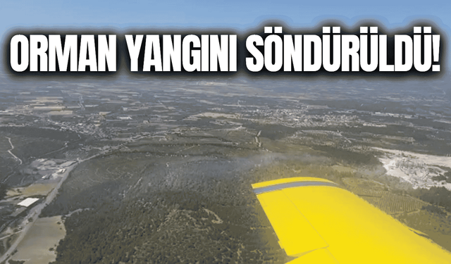 Manisa'daki orman yangını kontrol altına alındı!