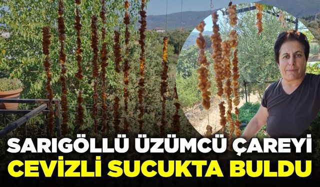 Sarıgöl’de düşük üzüm fiyatları çiftçiyi farklı çözümlere yöneltti