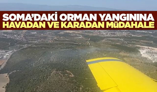 Manisa'da orman yangını: Havadan ve karadan müdahale sürüyor