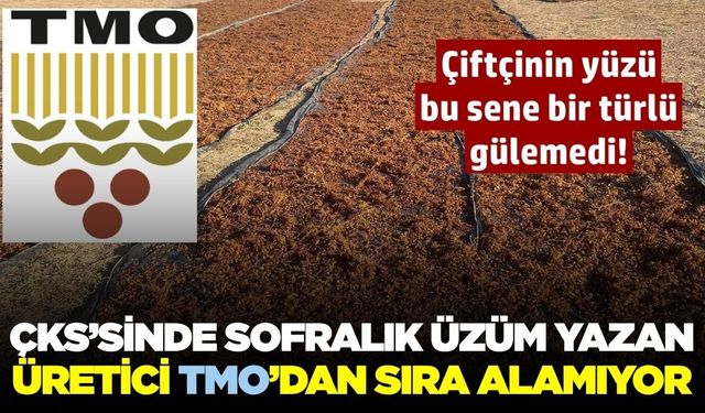 TMO randevu sistemi üzüm üreticilerini mağdur etti: 'Sofralık' yazana randevu yok!