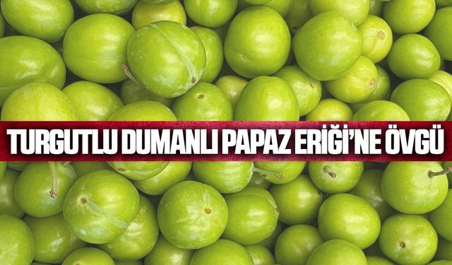 İl Müdürlüğü'nden Turgutlu’nun Dumanlı Papaz Eriği'ne övgü!