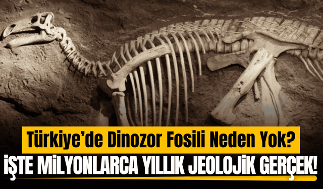 Türkiye’de neden dinozor fosili bulunmuyor?