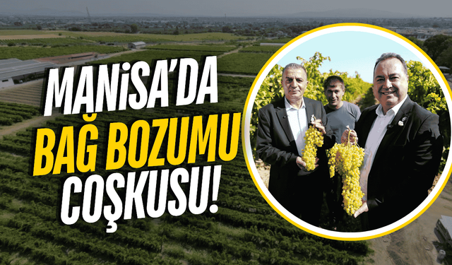 Üzümün başkenti Manisa'da  Bağ Bozumu Şenlikleri başladı