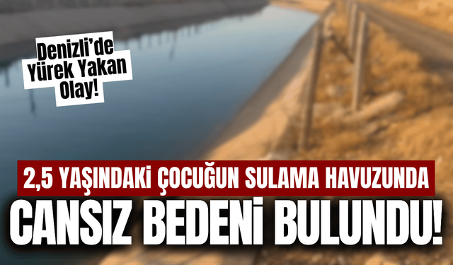 Denizli'de acı olay: 2,5 yaşındaki çocuk ölü bulundu!