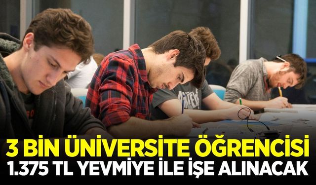 Denizli'de öğrencilere fırsat: 1.375 TL yevmiye ile işe alınacak