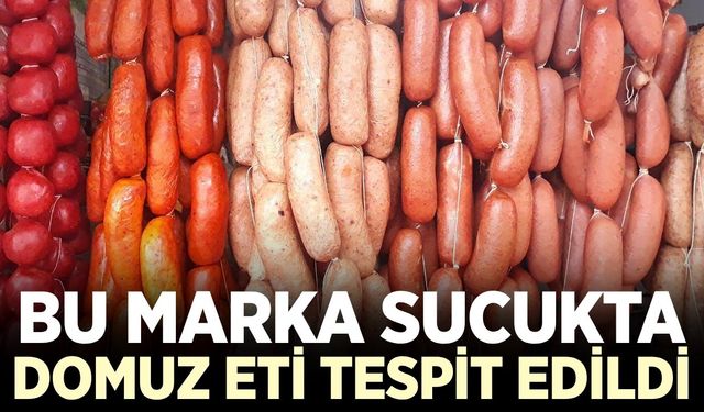 Bakanlık açıkladı: Bu markada domuz eti tespit edildi