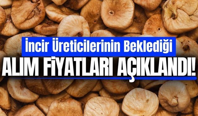 Kuru incir alım fiyatları açıklandı
