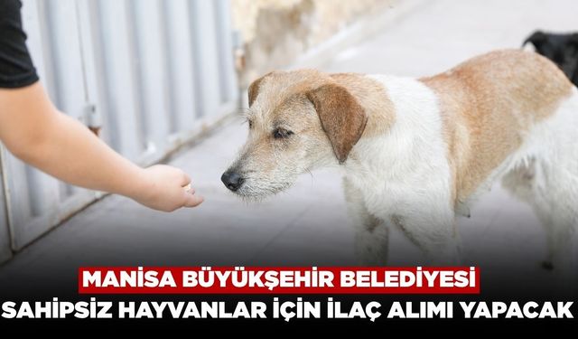 Manisa Büyükşehir Belediyesi Sahipsiz Hayvanlar için İlaç Alacak