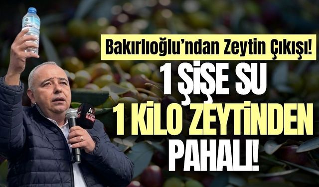 Manisa'da zeytin üreticisi sitem etti: 'Zeytin sudan ucuz'