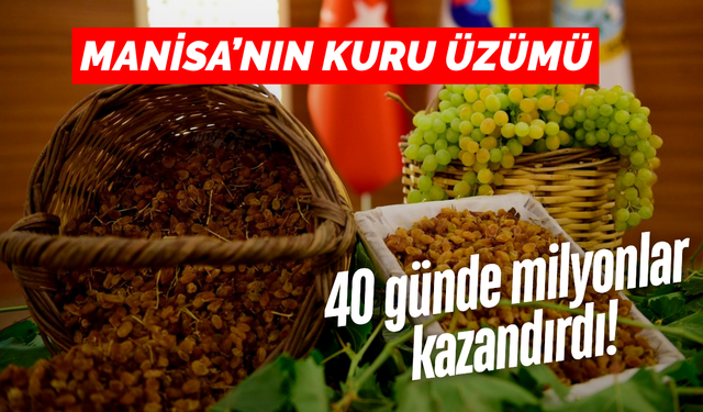 Manisa’nın kuru üzümü dünyaya açıldı! 40 günde 68,3 milyon dolar
