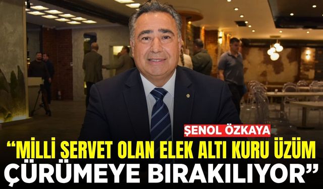Şenol Özkaya: “Milli servet olan elek altı kuru üzüm çürümeye bırakılıyor”