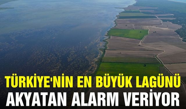 Türkiye'nin en büyük lagününde tehlike çanları çalıyor