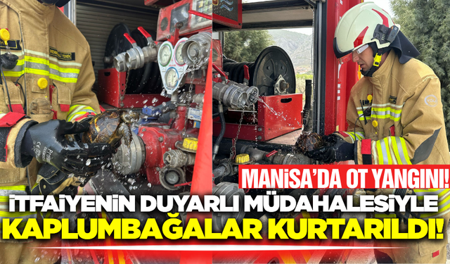 Kırkağaç İtfaiyesi'nden Duyarlı Müdahale: Yangından Kurtarılan Kaplumbağalar Hayata Döndürüldü