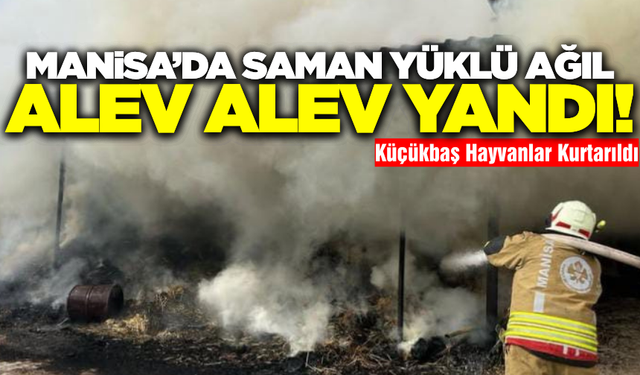Kırkağaç'ta Saman Yüklü Ağıl Yandı! Küçükbaş Hayvanlar Kurtarıldı