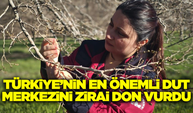 Tunceli'de Ulukale Dutuna Don Vurdu: Yüzde 100 Zarar!