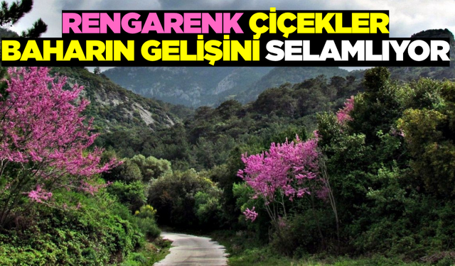 Bahar Geldi Şehir Renklendi