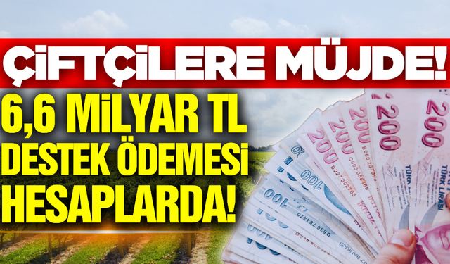 Çiftçileri sevindirecek haber geldi: Destek ödemeleri hesaplarda!
