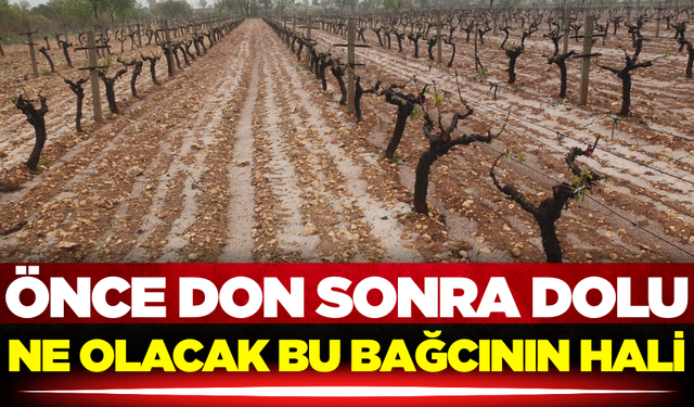 Çiftçinin hayali yine başka bahara kaldı