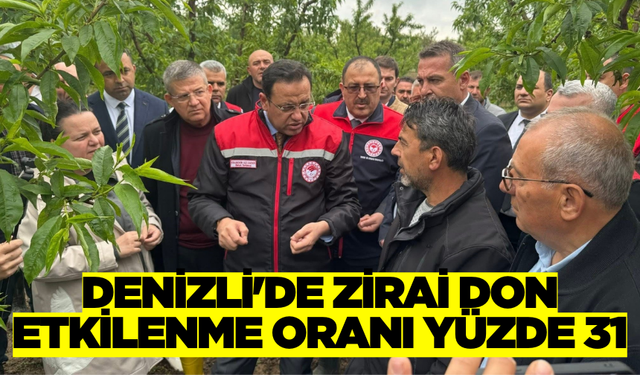 Tarım ve Orman Bakan Yardımcısı Gizligider Denizli'de Zirai Dondan Etkilenen Üreticilerle Destek Olacaklarını Söyledi