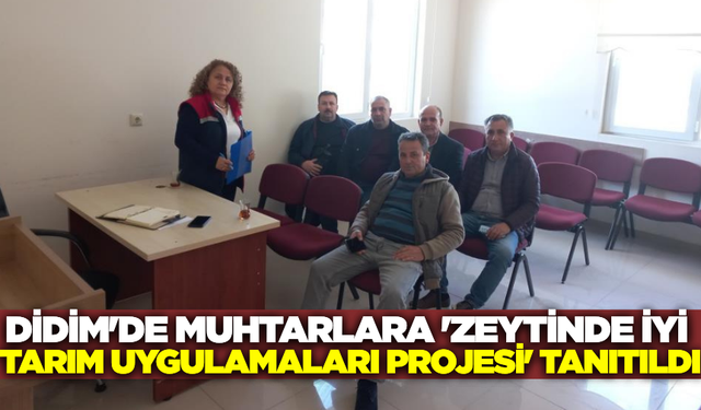 Didim'de Zeytinde iyi tarım uygulamaları başlıyor