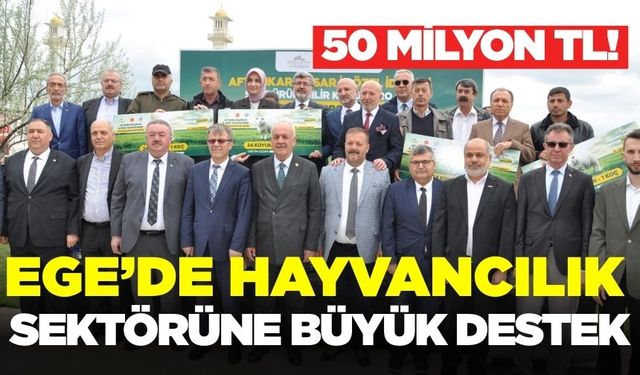 Yetiştiriciye büyük koyun desteği