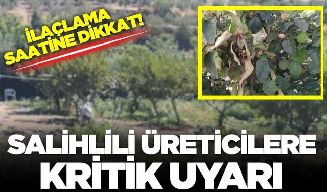 Manisa'da üreticilere önemli uyarı