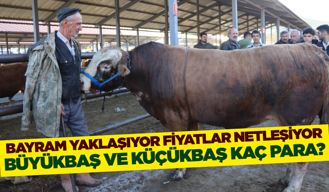 Kurban Bayramı yaklaşıyor, pazarlarda hareketlilik artıyor