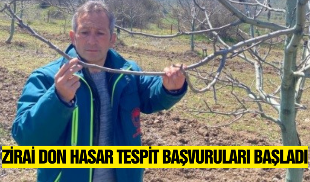 Kütahya'da zirai don hasar tespit çalışmaları devam ediyor!