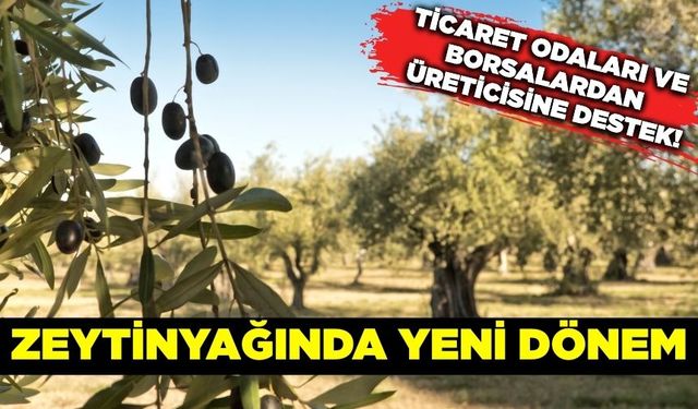 Türkiye'de bir ilk: "Kuzey Ege Zeytinyağı Lisanslı Deposu"