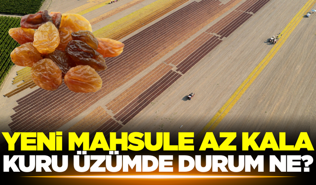 Nisan ayı geldi, kuru üzüm fiyatı ne durumda?
