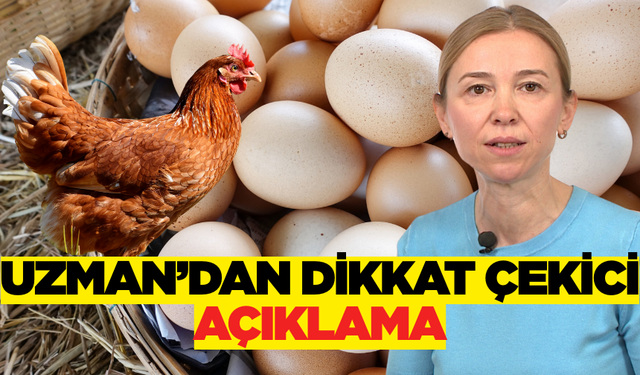 Organik mi Doğal mı Tavuk ve Yumurta! İşte Asıl Gerçekler