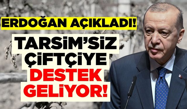 Erdoğan Açıkladı: TARSİM’siz Çiftçiye Destek Geliyor!