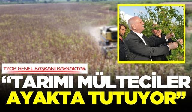 Bayraktar; "Mülteciler olmasa tarım durur"