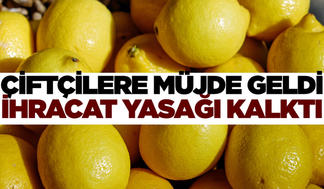 Üreticileri sevindiren haber! Yasak kalktı
