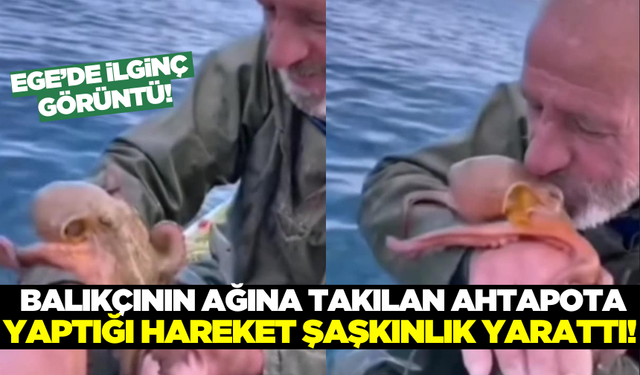 Aydın'da ilginç görüntü: Balıkçının çektiği video sosyal medyada gündem oldu!