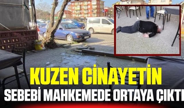 Kuzen cinayetinin sebebi ortaya çıktı