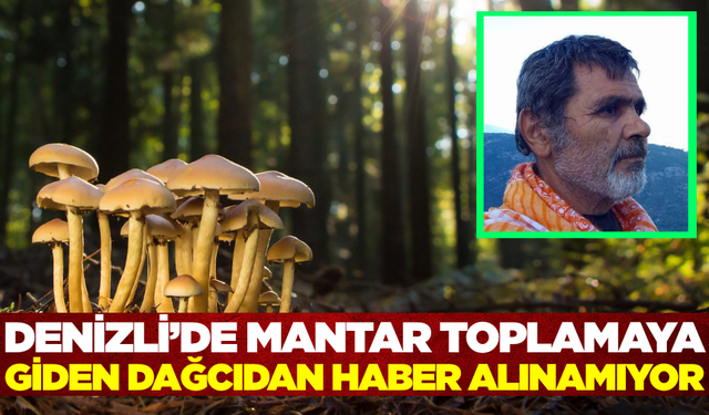Mantar toplamaya giden adamdan saatlerdir haber alınamıyor
