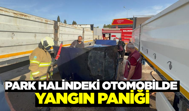 Balıkesir'de otomobilde çıkan yangın paniğe neden oldu