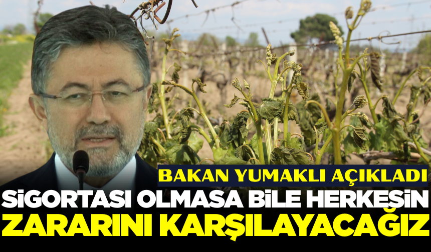 Bakan Yumaklı'dan Manisalı çiftçileri sevindiren açıklama