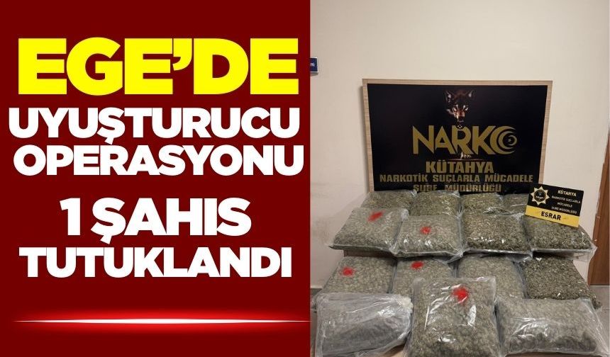 Ege'de uyuşturucu operasyonu