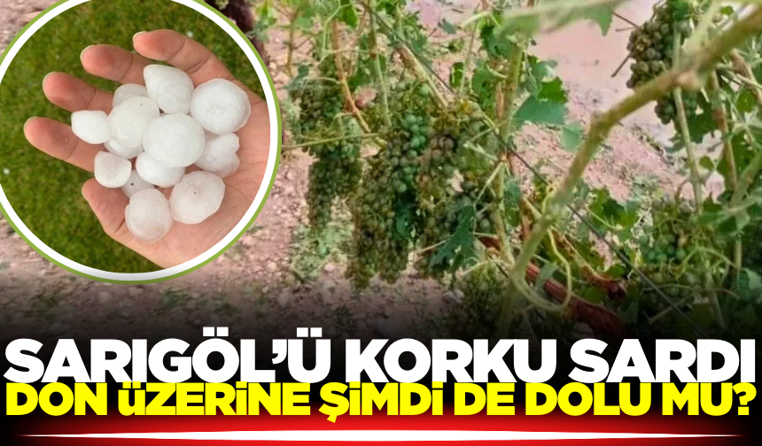 Manisa'da çiftçiler tedirgin!