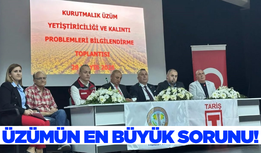 Manisa'da gündem üzümde kalıntı